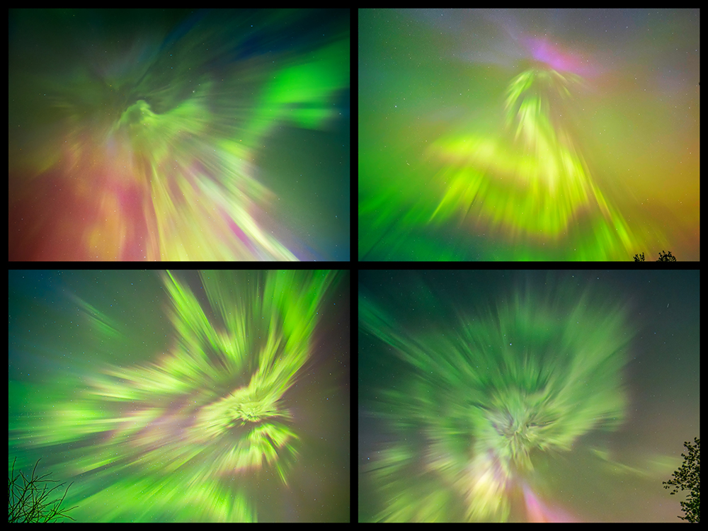 Girones_The Auroral birds