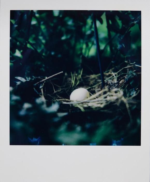 Hansen_Garrett - Garrett Hansen25 - Thanksgiving -