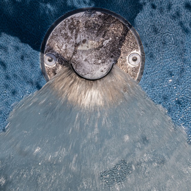 HendersonDSC_5727 - John Henderson