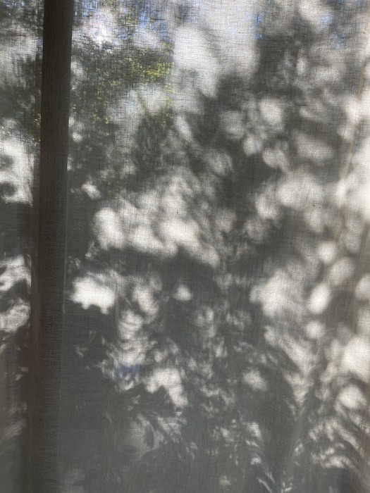 KellyAnnMitchell - Kelly Mitchell