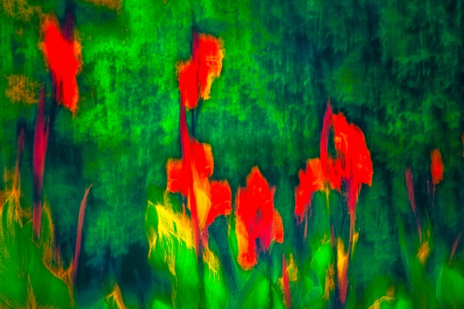 Kylo-PatrickHart - k.hart@tcu.edu25 - Thanksgiving -