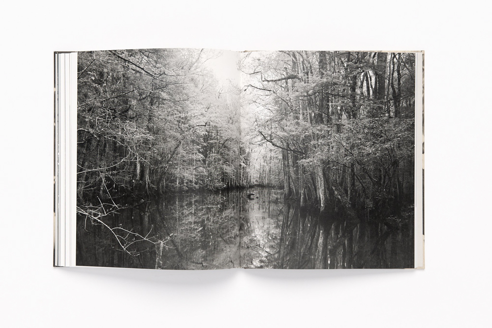 art; science; nature; technology; medical imaging