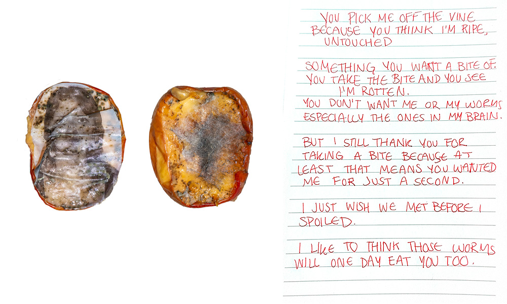 Logan Johnson Thankful - Logan Johnson