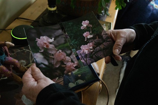 Maedeh_Ojaghloo - Maedeh Ojaghloo