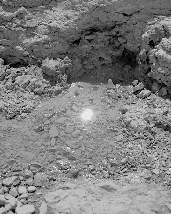 MaximVoloshin_01 - Maxim Maxim- 2025 - Thanksgiving