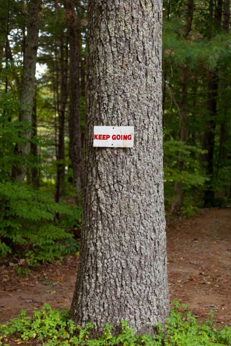 MonicaHamilton-KeepGoing - Monica Hamilton25 - Thanksgiving -