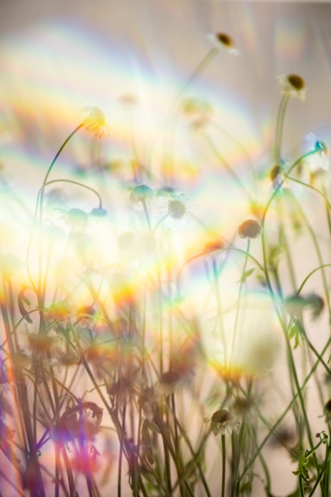 Nadide_Goksun - Nadide Goksun25 - Thanksgiving -