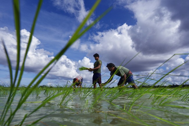 Rajesh Dhar - rajesh dhar