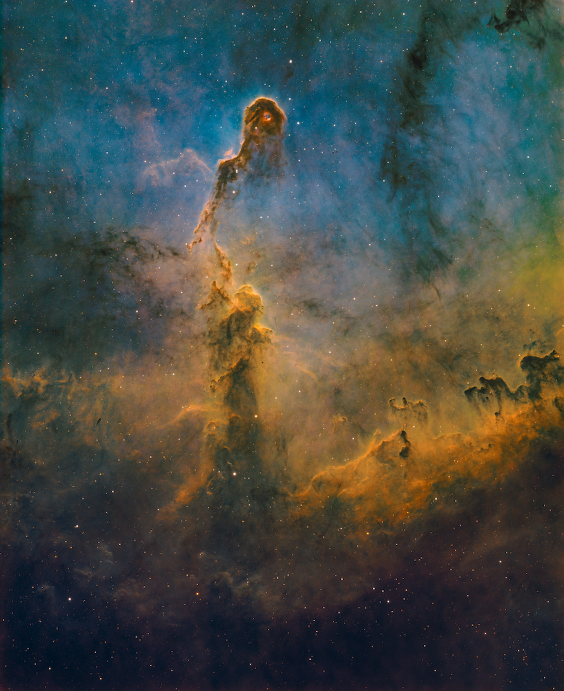 Thomas-Fowler_Elephant Trunk Nebula