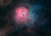 Thomas-Fowler_Trifid Nebula