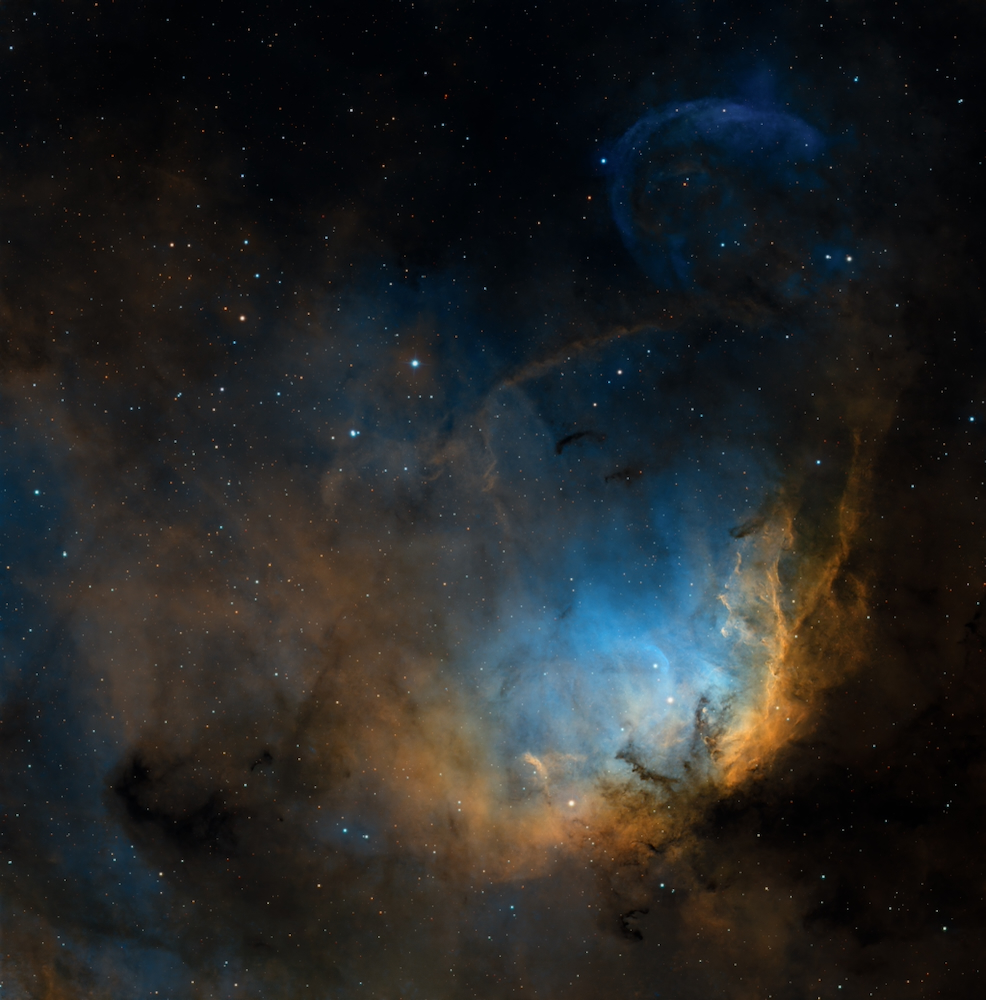 Thomas-Fowler_Tulip Nebula with Cygnus X-1 Bowshock