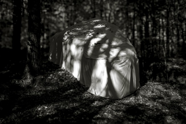 White, Suzanne Theodora_The Sacred Grandmother- - Suzanne White