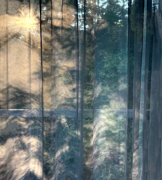 Yvette_Meltzer_For the Beauty of the Earth9900 - Yvette Meltzer