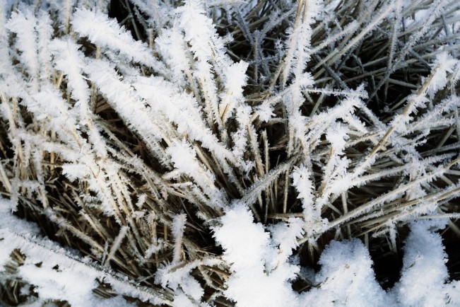 averlllina - alina averkina25 - Thanksgiving -