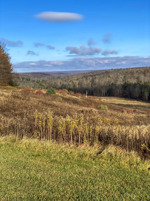 ©Judy O’Dell, Home,@odelljudy, www.judyodellphoto.com - Judith O_Dell25 - Thanksgiving -