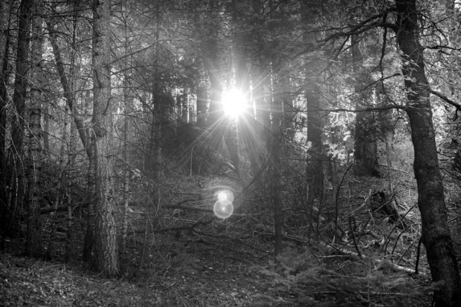 ©Tanya Robles, New Day,@ _4yn47_, tanyarobles.com - Tanya Robles25 - Thanksgiving -