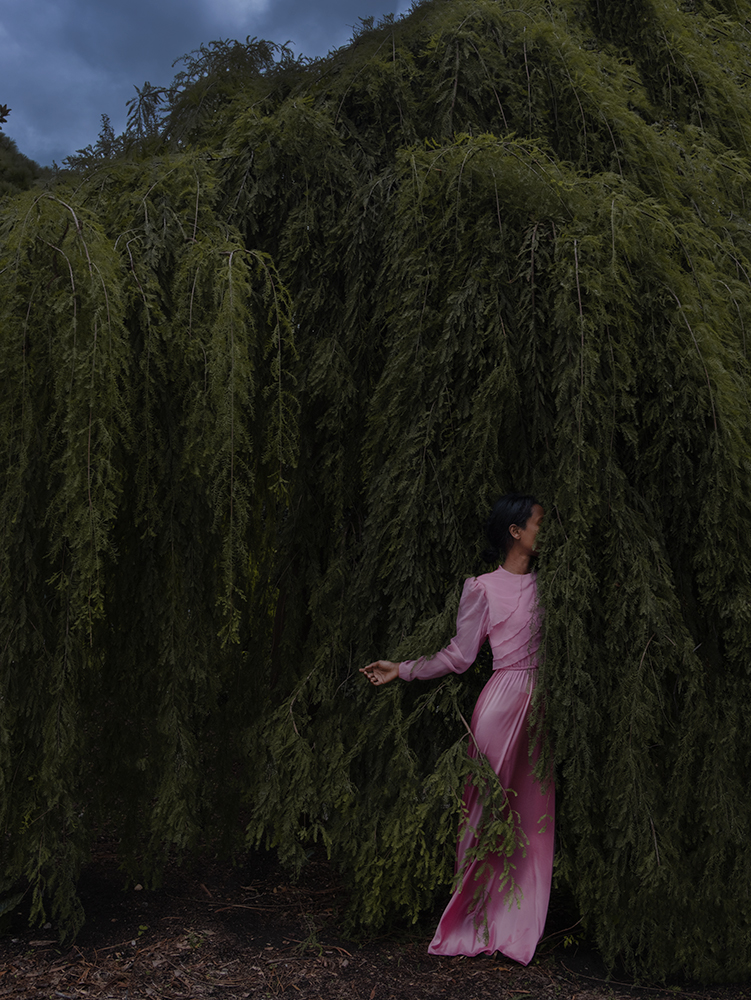 Lee_Gadisse_Daylight