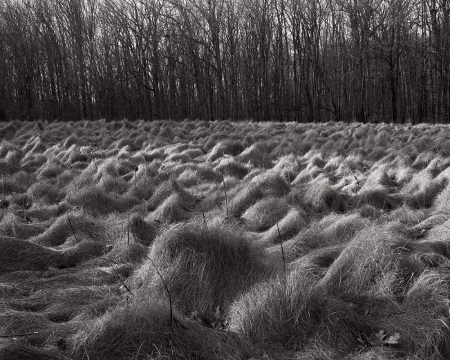 Scott Offen - Grace12