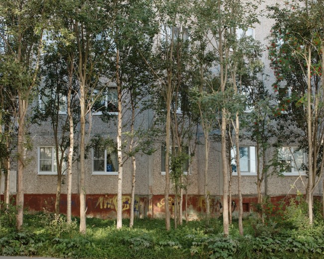 Anastasia_Tsayder_ARCADIA-10