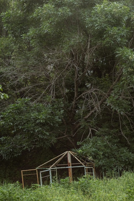 Anastasia_Tsayder_ARCADIA-11