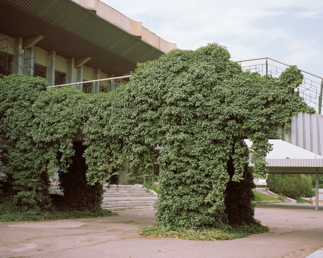 Anastasia_Tsayder_ARCADIA-16