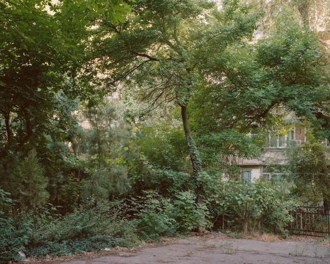 Anastasia_Tsayder_ARCADIA-7