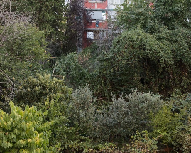 Anastasia_Tsayder_ARCADIA-9