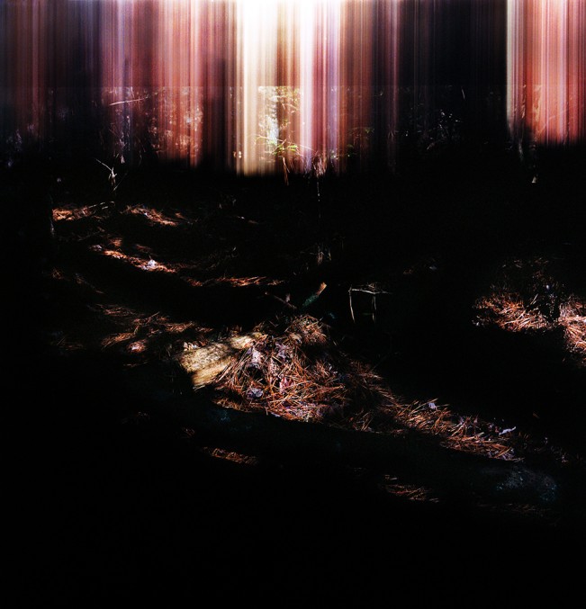 AshleyMoogBowlsbey_GlimmersThroughTheGrief_Lenscratch - Ashley Moog