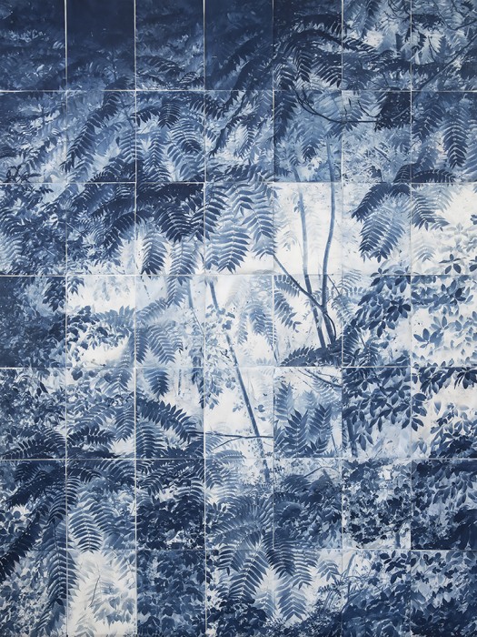 Carolina Baldomá - Carolina Baldoma