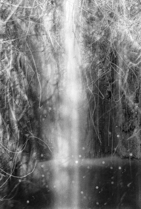 Danae Panagiotidi_ - Danae Panagiotidi