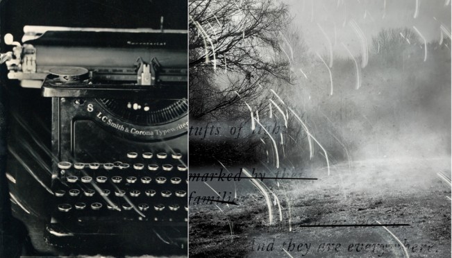 Deborah_Noyes_A Thousand Words - Deb Noyes