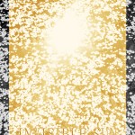 Invisible Sun - cover