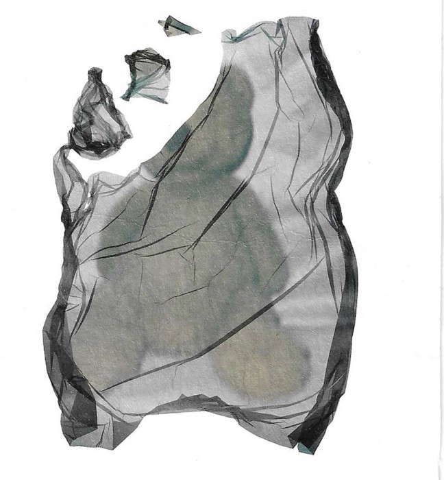 JocelynFlores_PolaroidLift - Jocelyn Flores