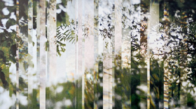 Mara Magyarosi-Laytner - The Subtle Body of Living Things - Pulse 08 - Mara Magyarosi-Laytner