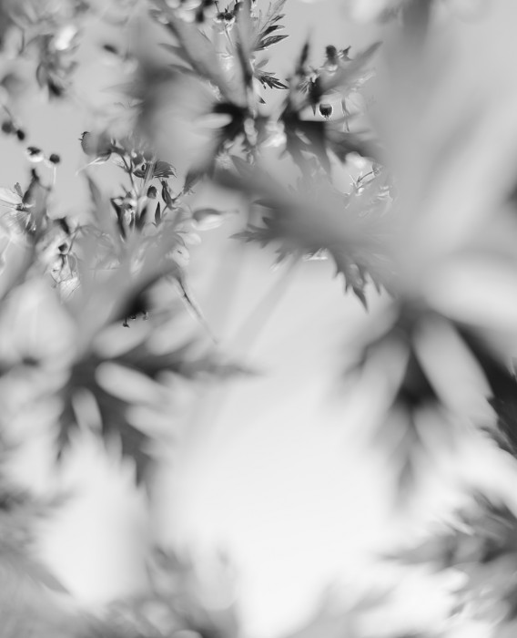 Margo_Ovcharenko_overtime_009