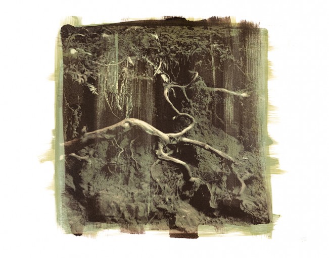 Page_Sonnet_Sullivan_Root - Page Sullivan