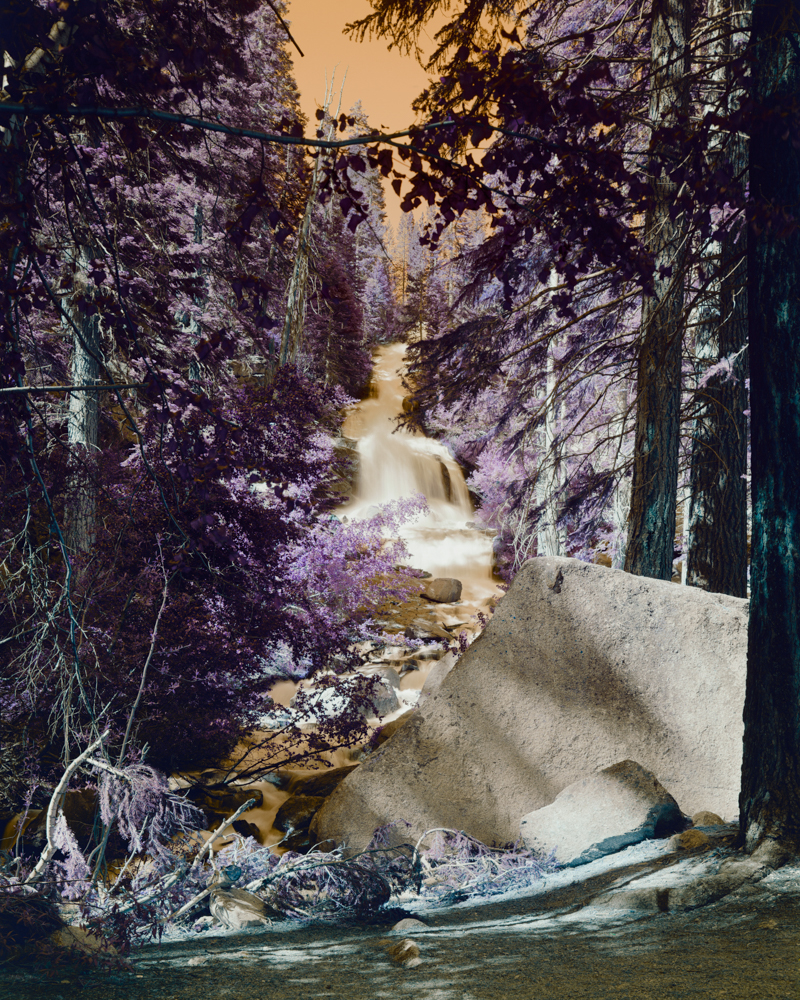 art; science; nature