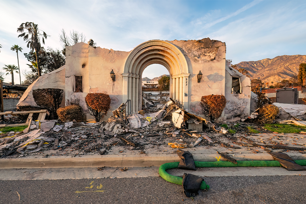 William Karl Valentine Lenscratch Website image Use Rights granted to Aline Smithson and Lenscratch