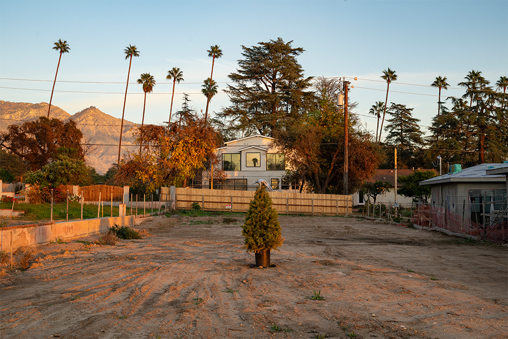 William Karl Valentine Lenscratch Website image Use Rights granted to Aline Smithson and Lenscratch