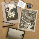 Wendi_Schneider_1577_sized