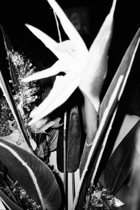 Yulia_Spiridonova_Wayward_Son_04