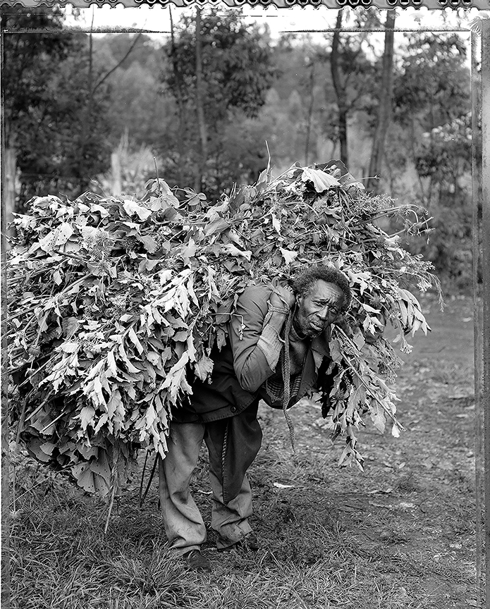 graham_man with food for cow