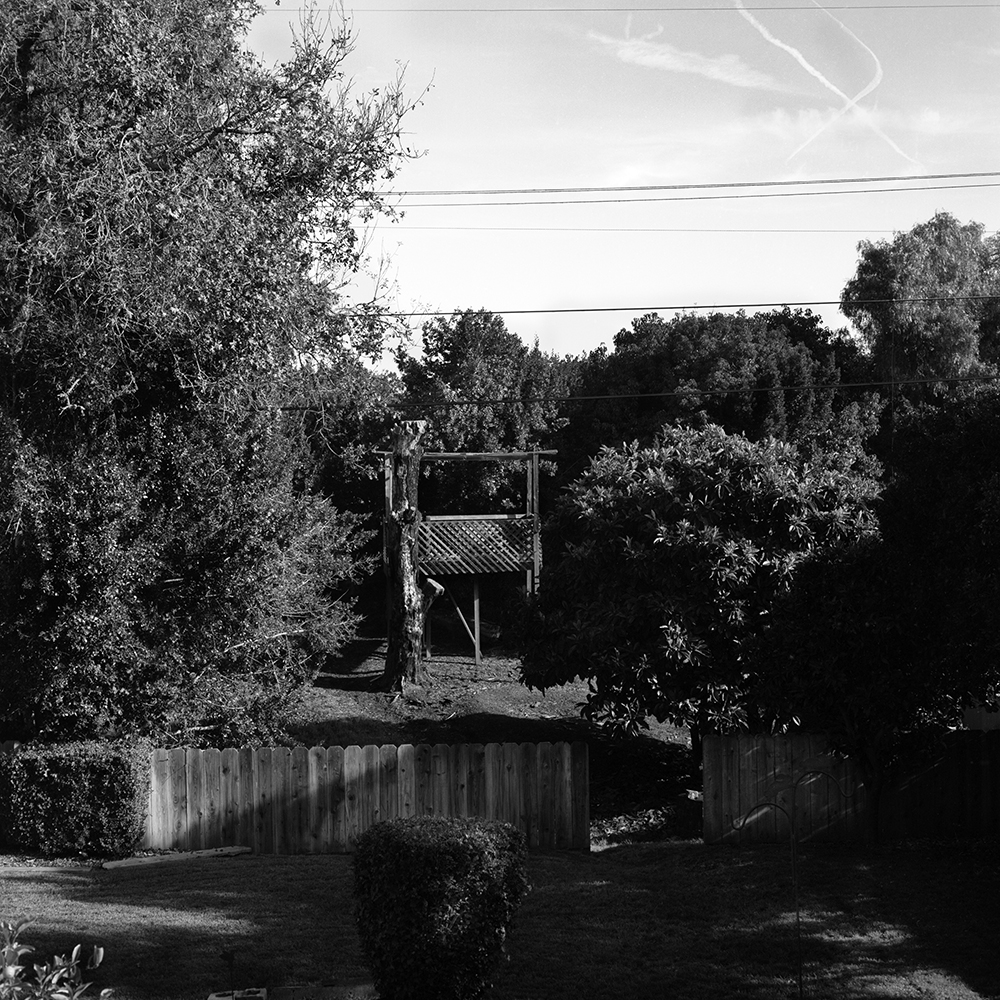 4_Untitled(Treehouse 2017)