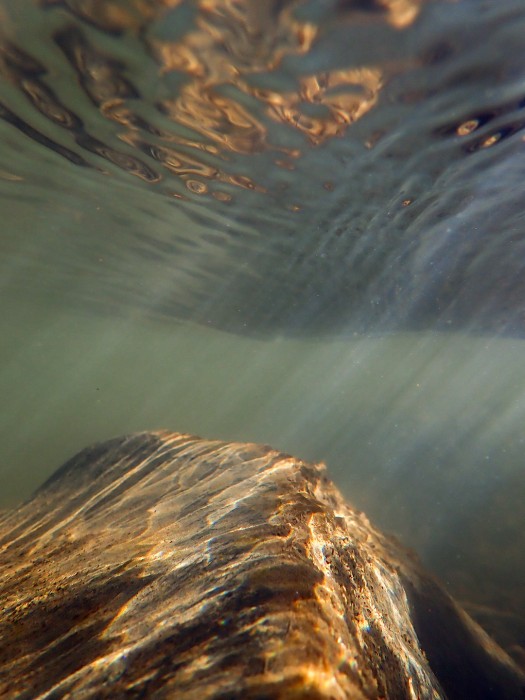 B. Ludeker_12.08.27(January 1 2023)