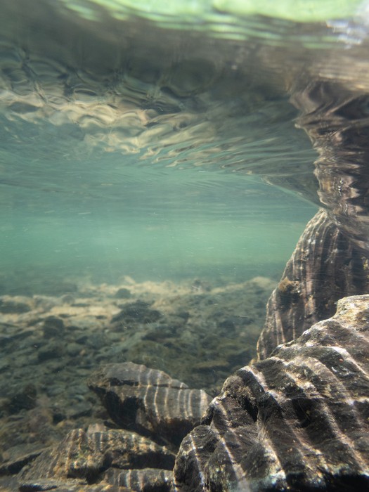 C. Ludeker_1.44.59(June 12 2025)