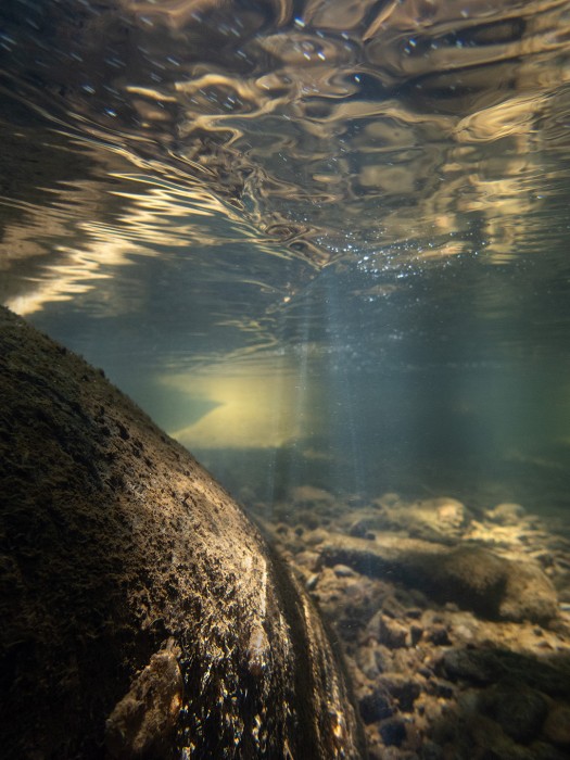 D. Ludeker_1.22.26(August 13 2023)