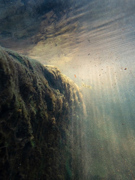 E. Ludeker_1.43.05(October 10 2022)