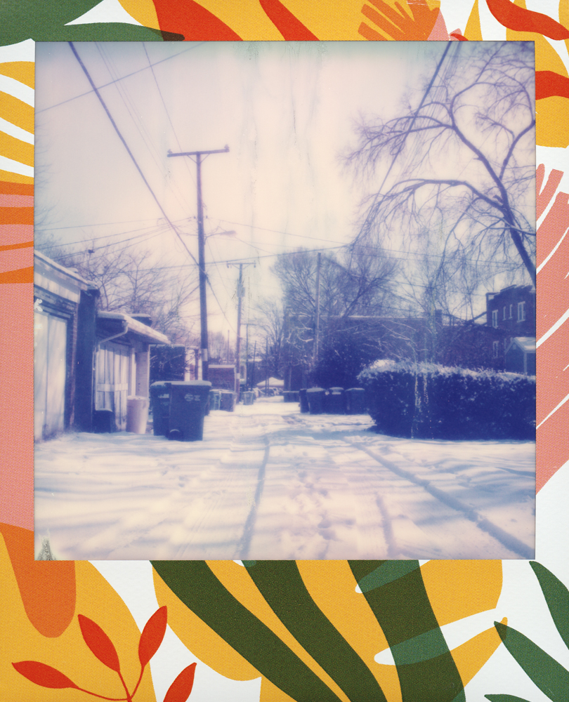 FEDYNAK_LASTSNOWSPOLA_1