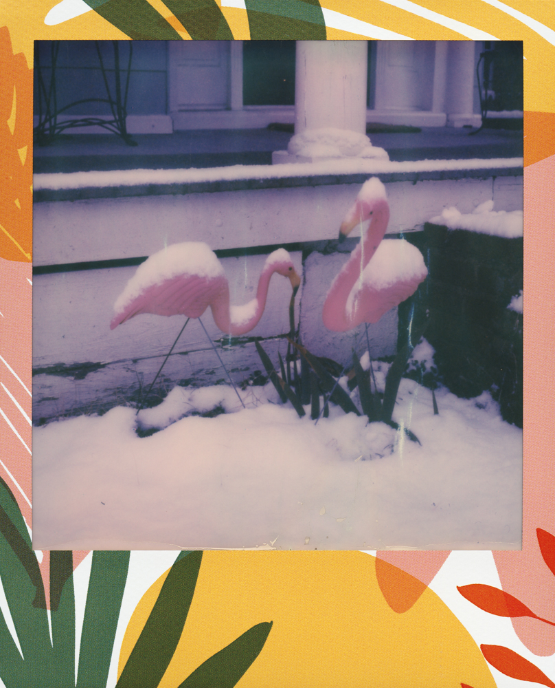 FEDYNAK_LASTSNOWSPOLA_2