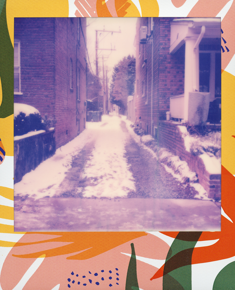 FEDYNAK_LASTSNOWSPOLA_3